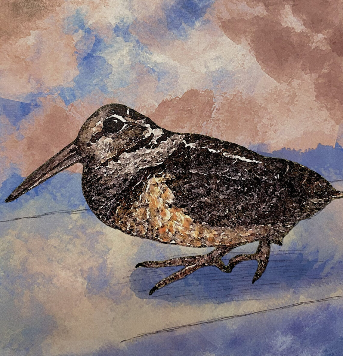 American Woodcock by Kristen Englenz