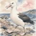 Personal essay about clumsy hands that have beauty like an albatross